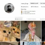 account instagram Specialized in cats with 25k mix